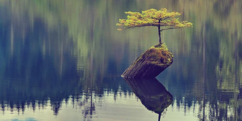 Pulling In Resilience